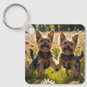 Chaveiro Yorkshire Terriers jogando na grama