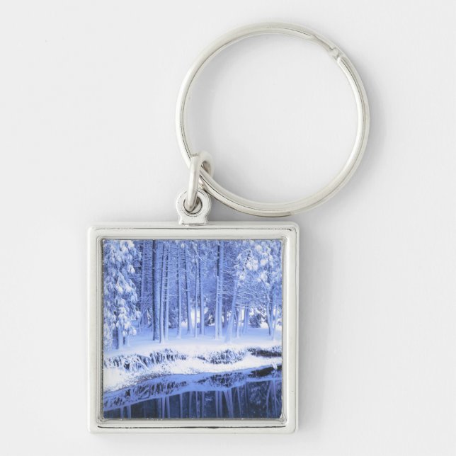 Chaveiro YOSEMITE NATIONAL PARK, CALIFÓRNIA. EUA.Fresco (Frente)