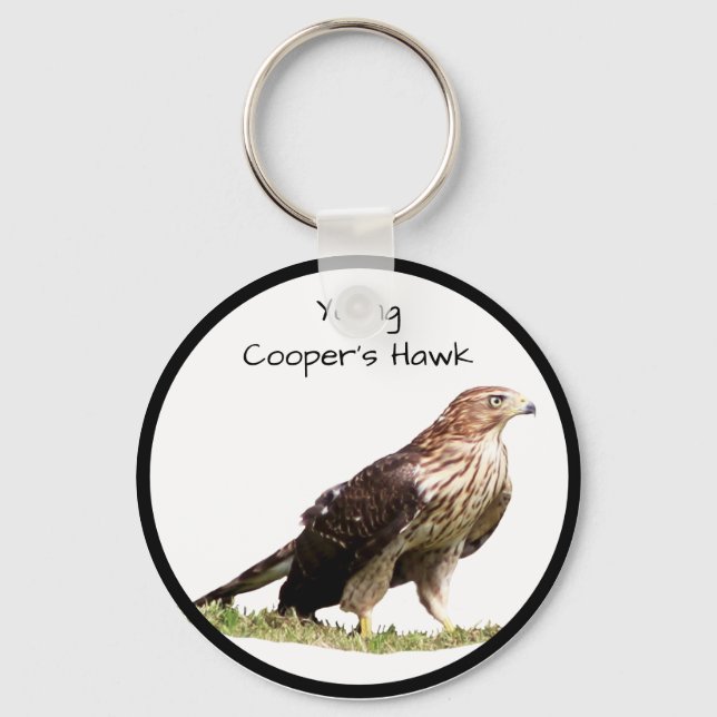 Chaveiro Young Cooper's Hawk (Frente)