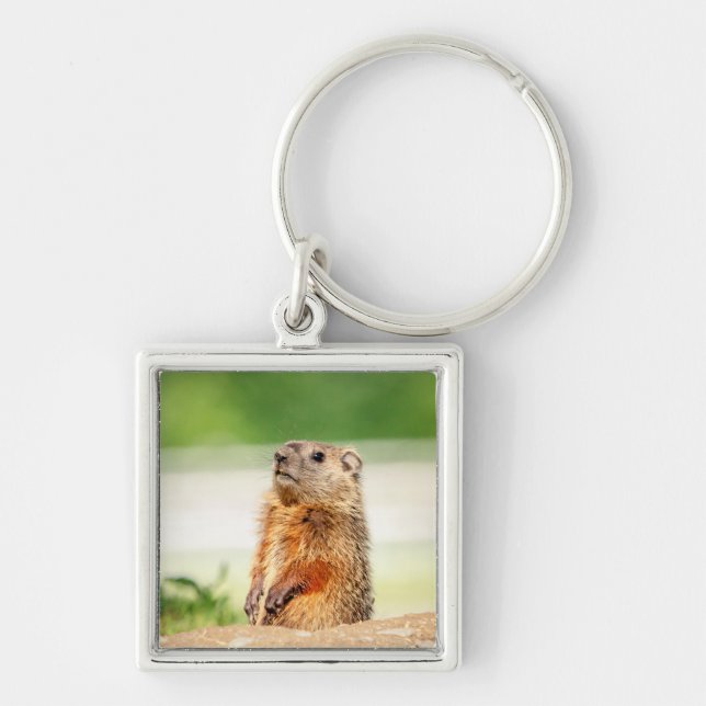 Chaveiro Young Groundhog (Frente)