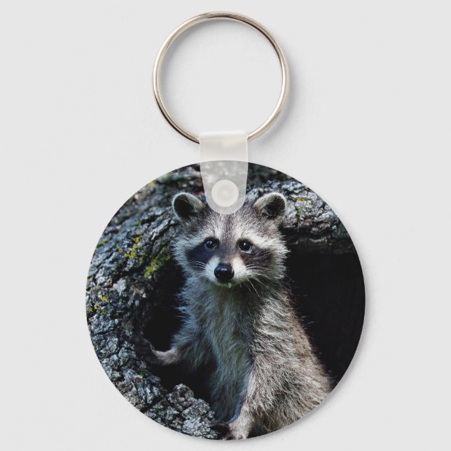 Chaveiro Young Raccoon (Frente)