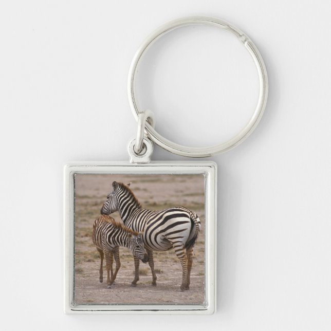 Chaveiro Zebra 3 de Grant (Frente)