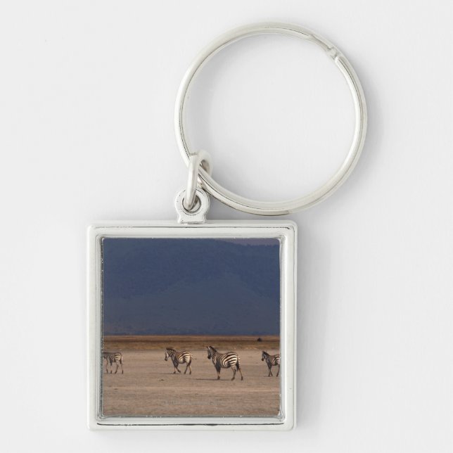Chaveiro Zebra 4 de Grant (Frente)