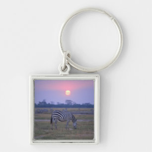 Chaveiro Zebra 6 de Grant