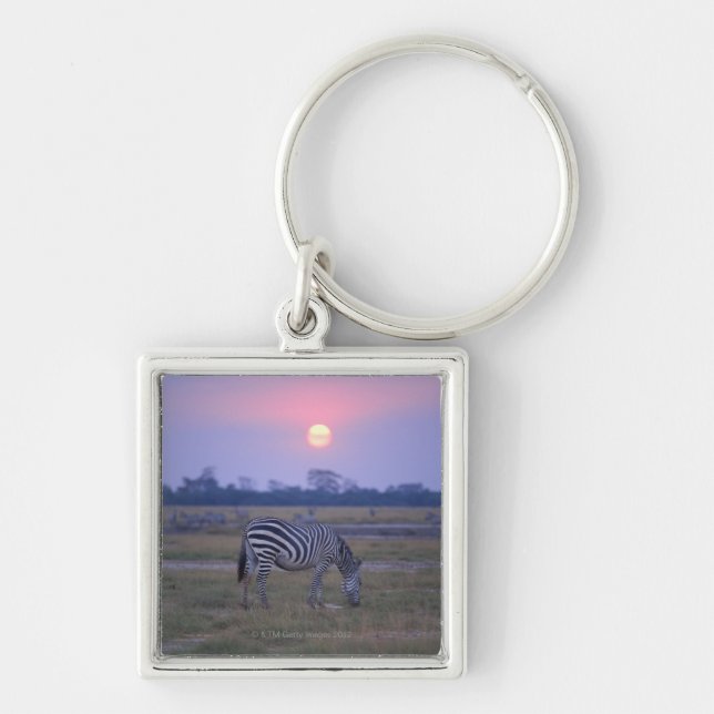 Chaveiro Zebra 6 de Grant (Frente)