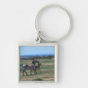 Chaveiro Zebra de Grant