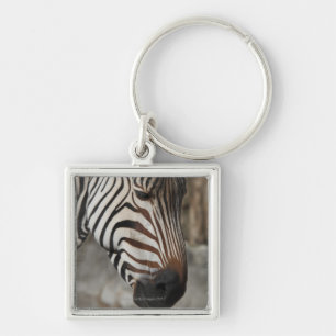 Chaveiro Zebra, fim-acima
