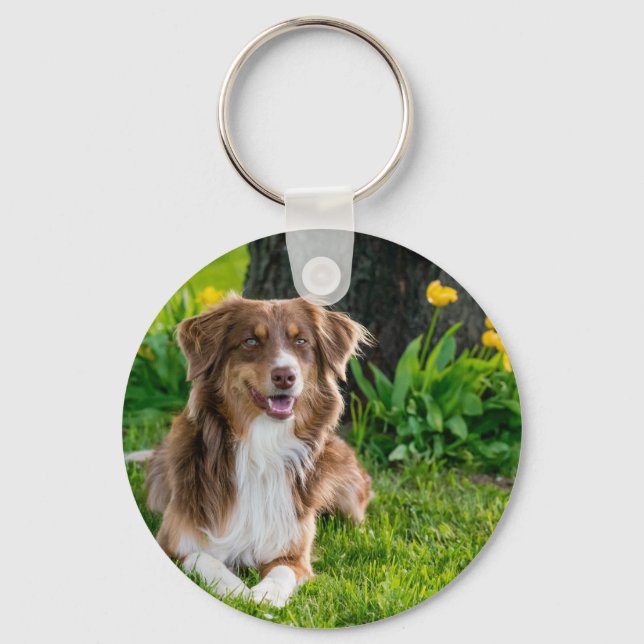 Chaveiros De Fotografias De Pet Personalizadas Par (Frente)