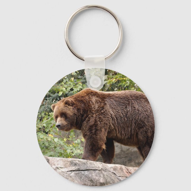 Chaveiros do urso Grizzly (Frente)