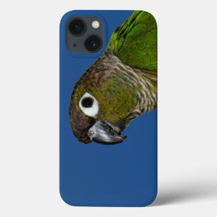 Cheeked verde Conure