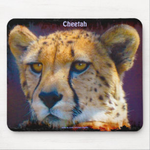 Cheetah Big Cat Wildlife Art Mousepad