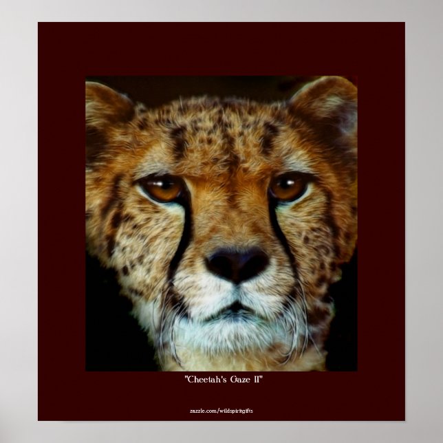 CHEETAH FACE Wildlife Art Poster (Frente)