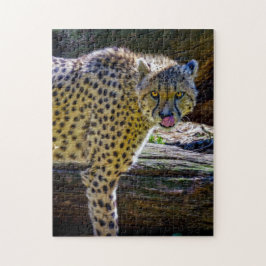 Cheetah Jigsera Quebra-cabeça