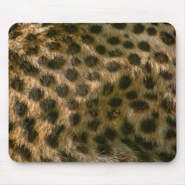 Cheetah mousepad (Frente)
