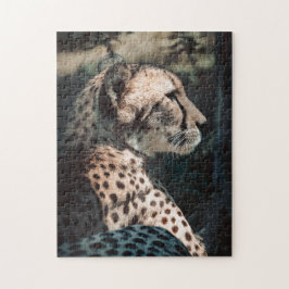 Cheetah Quebra-cabeça