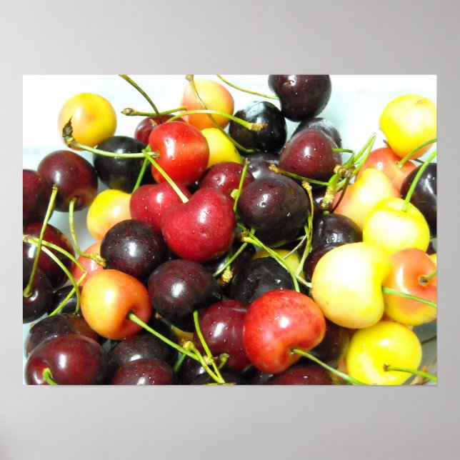 Cherries Poster (Frente)