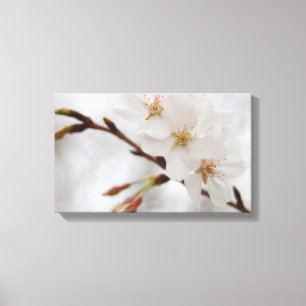 Cherry Blossom Canvas Art