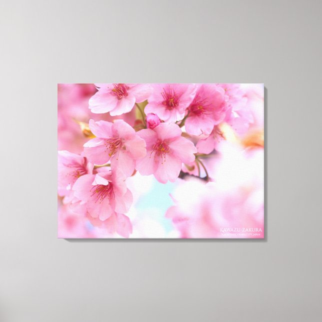 Cherry blossom"Kawazu-zakura"：Premium Canvas (Frente)