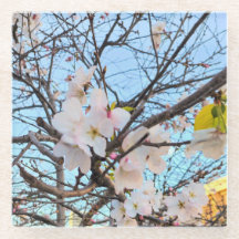 Cherry Blossom Porta copos