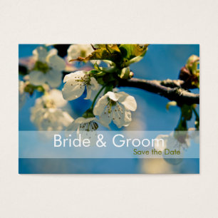 Cherry Blossom ・ Salve a miniplaca de data