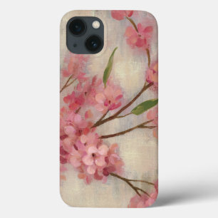 Cherry Blossoms
