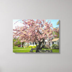 Cherry Blossoms Canvas