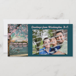 Cherry Blossoms Cartões de fotos