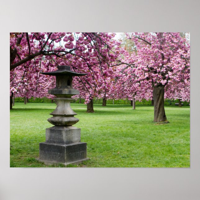 Cherry Blossoms e Pagoda Poster (Matte) (Frente)