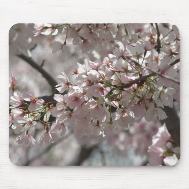 Cherry Blossoms Mousepad (Frente)