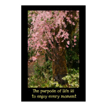 Cherry blossoms poster