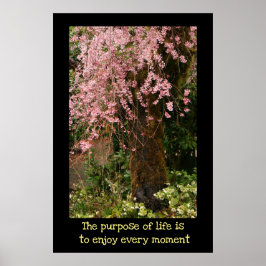 Cherry blossoms poster
