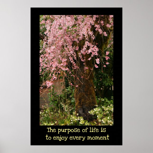 Cherry blossoms poster (Frente)