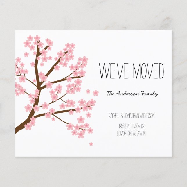 Cherry Blossoms Sakura Árvore que mudamos (Frente)