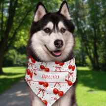 Cherry Red Arco Hearts Dog Name