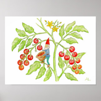 Cherry Tomato Gnomart impressão
