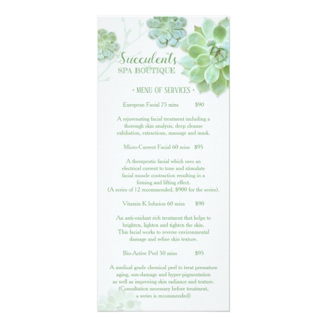 Chic Succulents Massage Spa Price List Menu 2 (Frente)