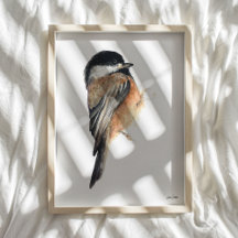 Chickadee Watercolor Art Impressão
