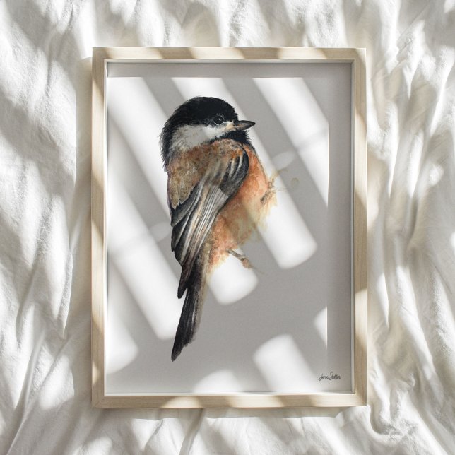 Chickadee Watercolor Art Impressão (Chickadee Watercolor Art Print from Jenn's Emporium. )
