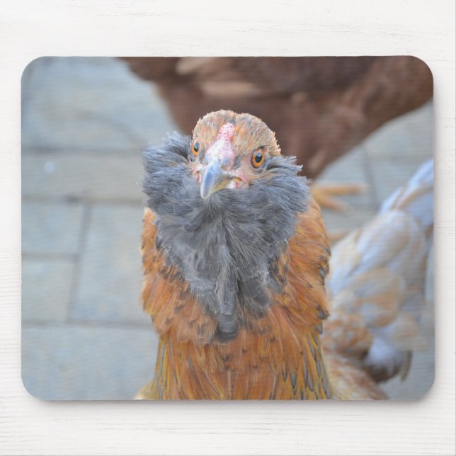 Chicken Mousepad (Frente)