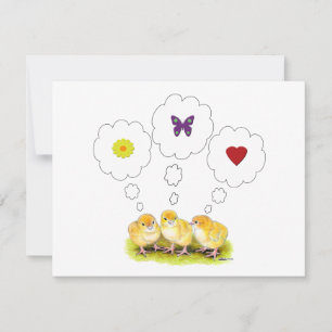 Chickie Daydreams