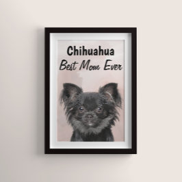 Chihuahua Best Mãe Poster