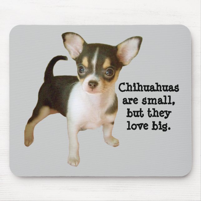 Chihuahua Cutie Mousepad (Frente)