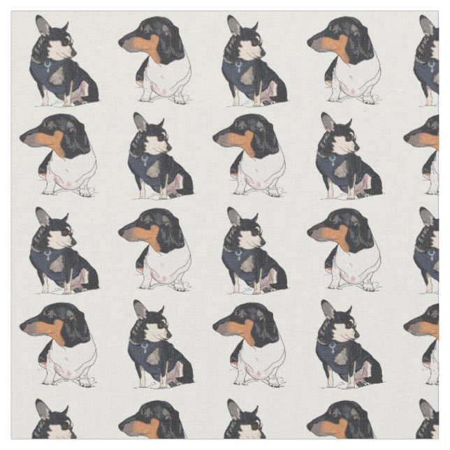 Chihuahua e Dachshund/amendoim e tecido da dança (Detalhe)