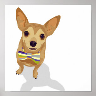 Chihuahua em uma poster de tigela