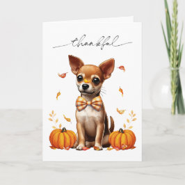 Chihuahua Fall - Cartão de Saudação de Ação de Gra
