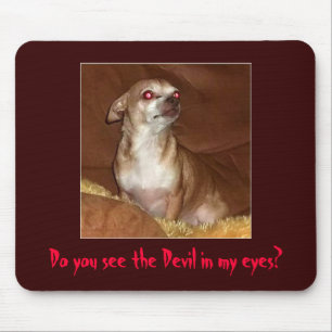 Chihuahua má Mousepad