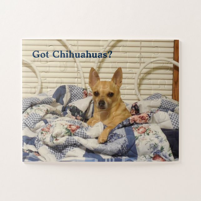 Chihuahuas obtidas quebra-cabeça (Horizontal)