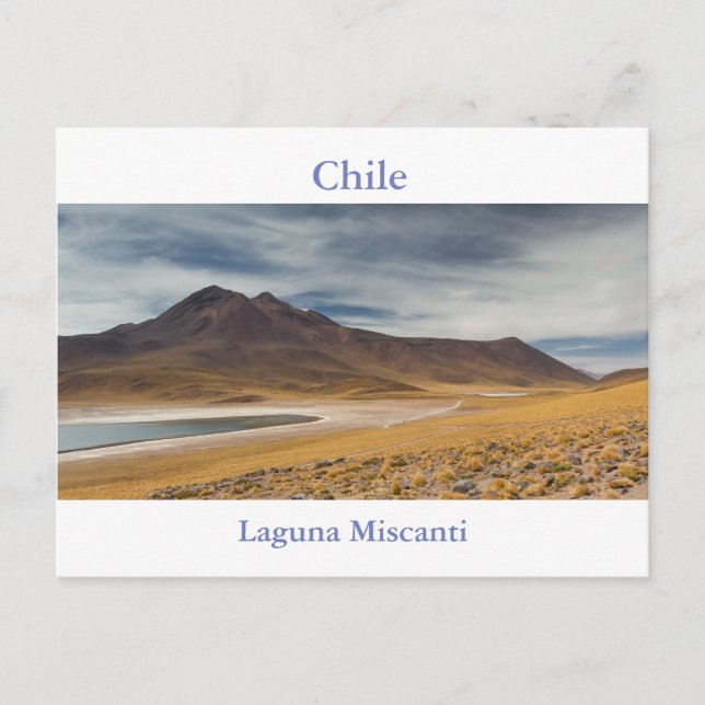 Chile - Cartão postal de Laguna Miscanti com texto (Frente)