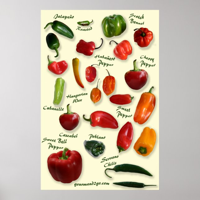 Chili ID Poster (Frente)