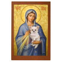 Chimama - Madonna and Chihuahua